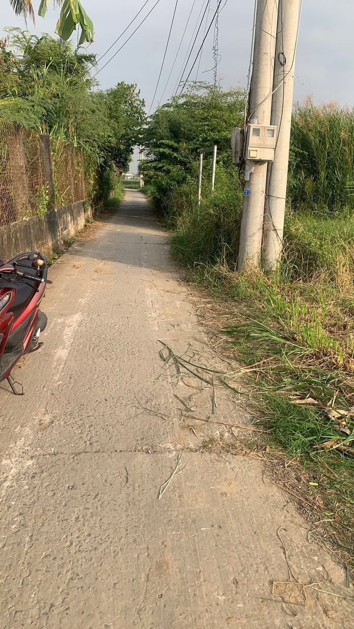 Đất nền Phước Trung Gò Công Đông 262.5m² - Cơ hội đầu tư tuyệt vời chỉ 375 triệu!