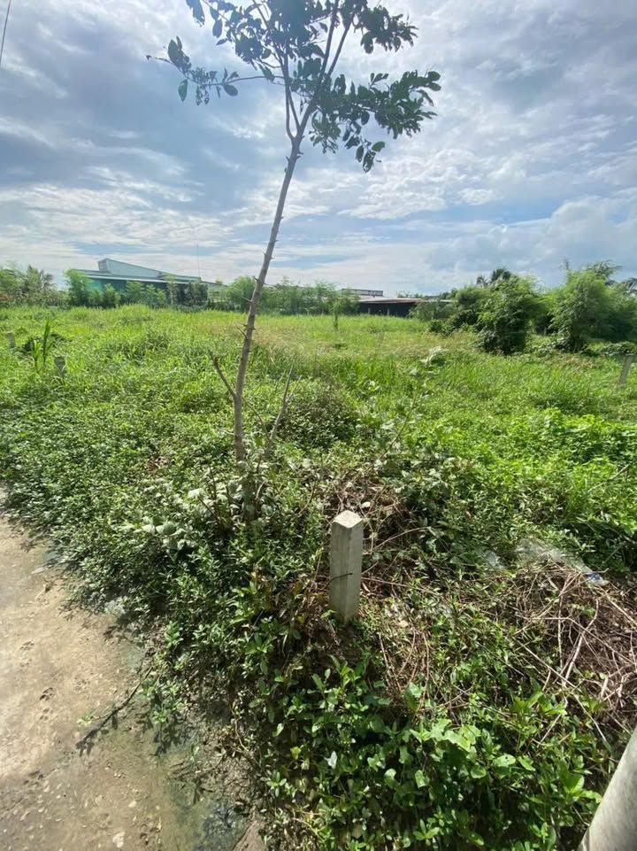 Đất nền thổ cư Gò Công Đông 270m² giá 600 triệu - Sổ hồng chính chủ!