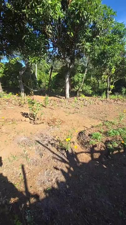 Đất mặt tiền Quốc lộ 25 xã Chư Sê 720m² giá 790 triệu - Đầu tư sinh lời ngay!