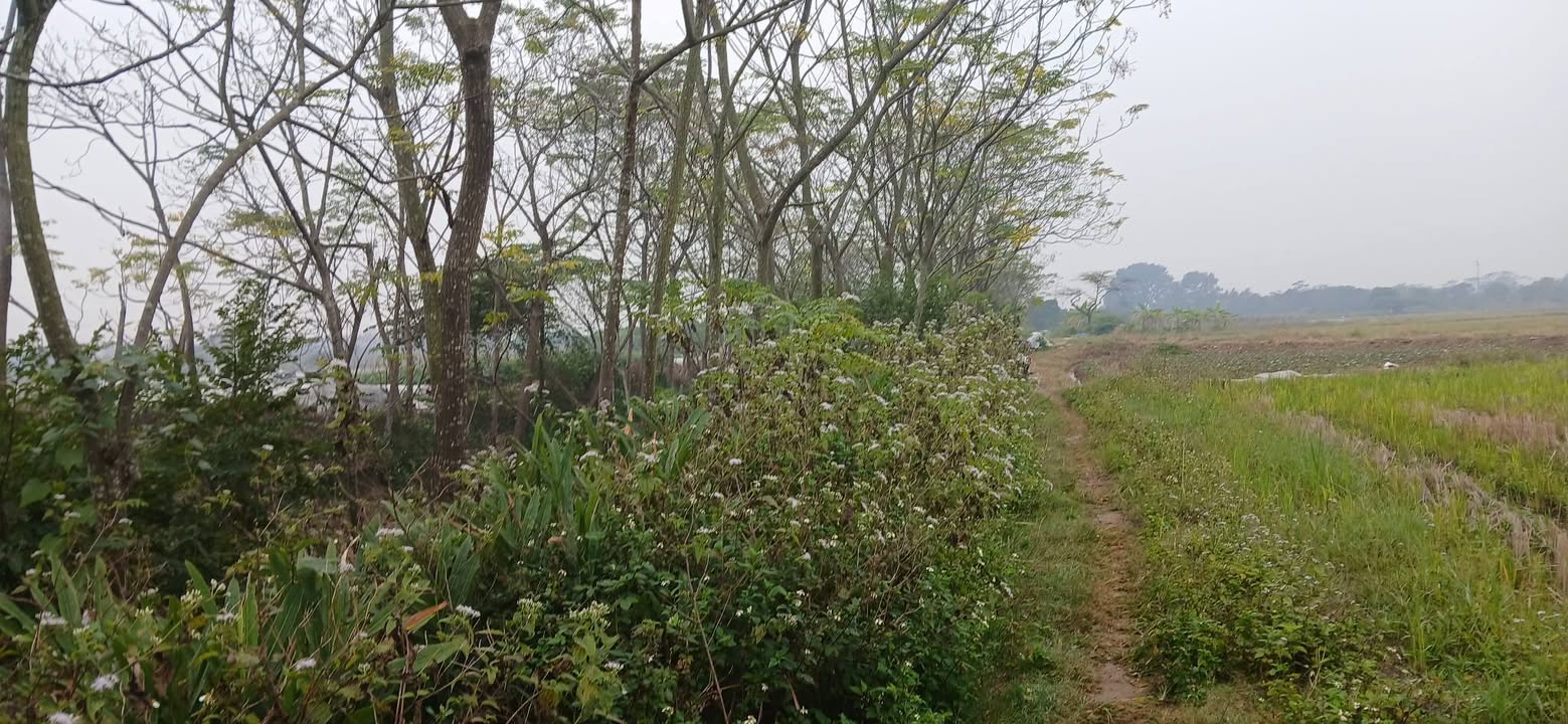 Đất nông nghiệp 432m² Nam Hồng giá chỉ 928 triệu - View mặt mương tuyệt đẹp!