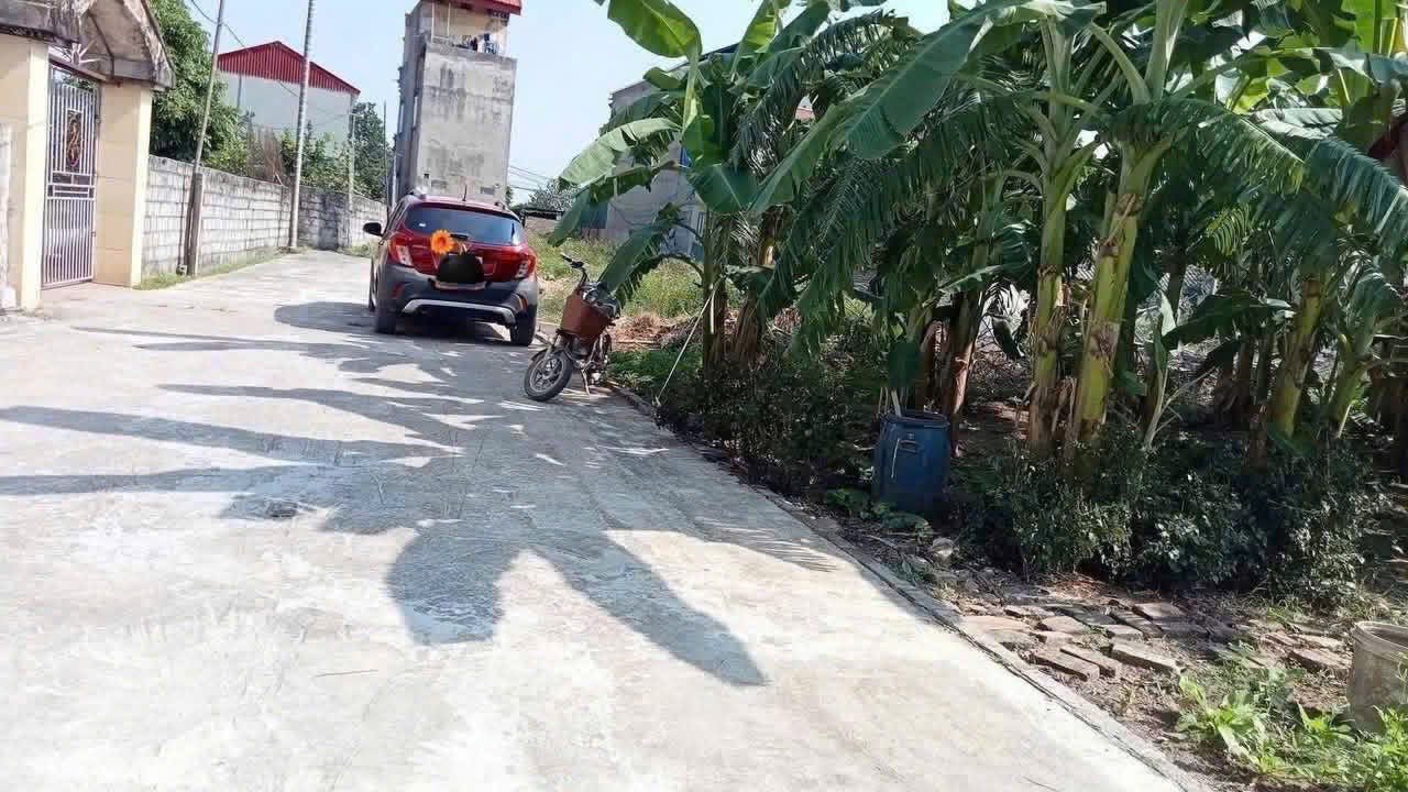 Đất thổ cư chính chủ tại TT. Khoái Châu, Hưng Yên 65,1m² giá 1 tỷ - Đầu tư lý tưởng!