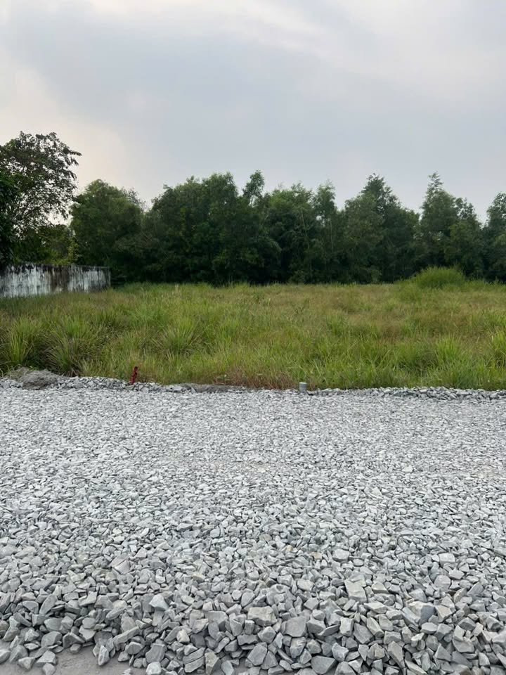 Đất thổ cư mặt tiền Bà Tỵ, xã Tân Nhựt, 3989m² giá 79.78 tỷ - Sổ đỏ chính chủ!