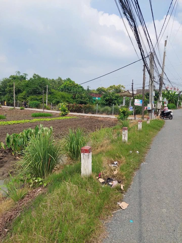 Đất thổ cư + đất vườn 4300m² tại Ấp Tân Điền, Long An - Giá chỉ 32 tỷ!