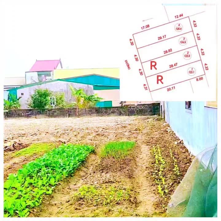 Đất nền xóm 2 Nghi Kim - Đường Hồng Liễu 126m² giá 1.9 tỷ - Cơ hội đầu tư tuyệt vời!