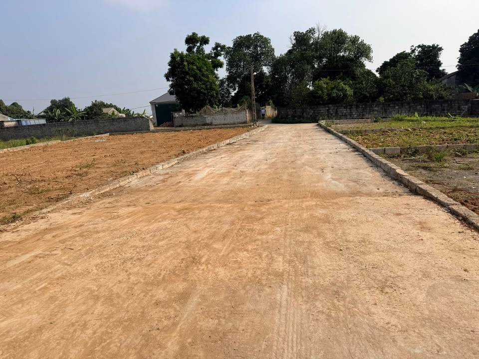 Lô đất thổ cư 373.5m² thôn Hòa Trúc, Phú Cát - Giá chỉ 3.735 tỷ!