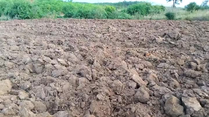 Đất nền 1ha tại xã Ia Le, huyện Chư Pưh - Giá thỏa thuận, cơ hội đầu tư hấp dẫn!