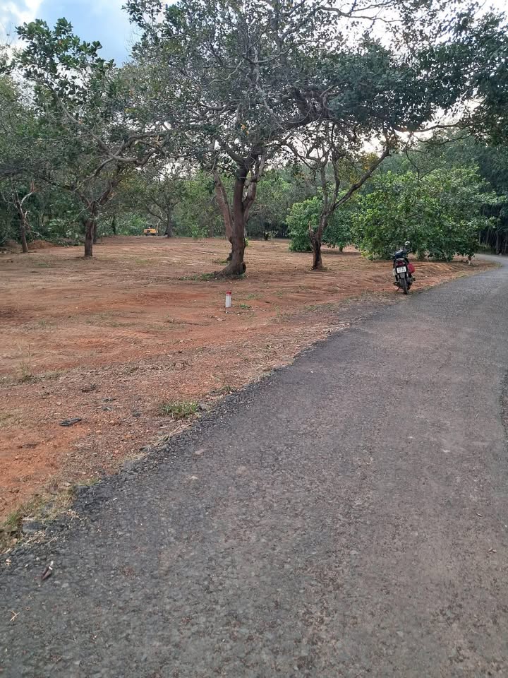 Đất nền Bù Đăng 3600m² giá chỉ 370 triệu - Tiềm năng đầu tư sinh lời!