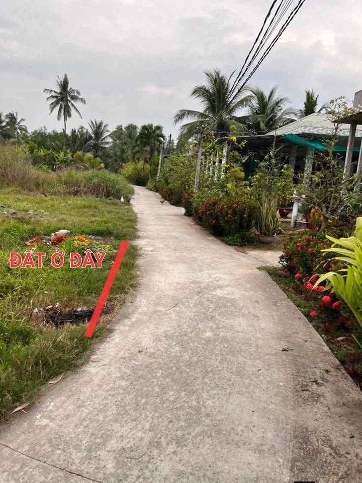 Đất thổ cư Lợi Bình Nhơn, Tân An 77m² giá 420 triệu - Sổ hồng riêng