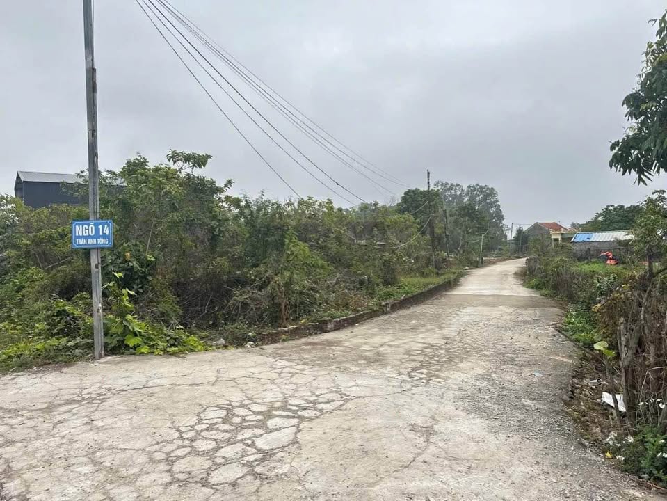 Đất nền Khu 1 Hải Hòa 100m² giá 1 tỷ - Vị trí đẹp, tiềm năng tăng giá cao!