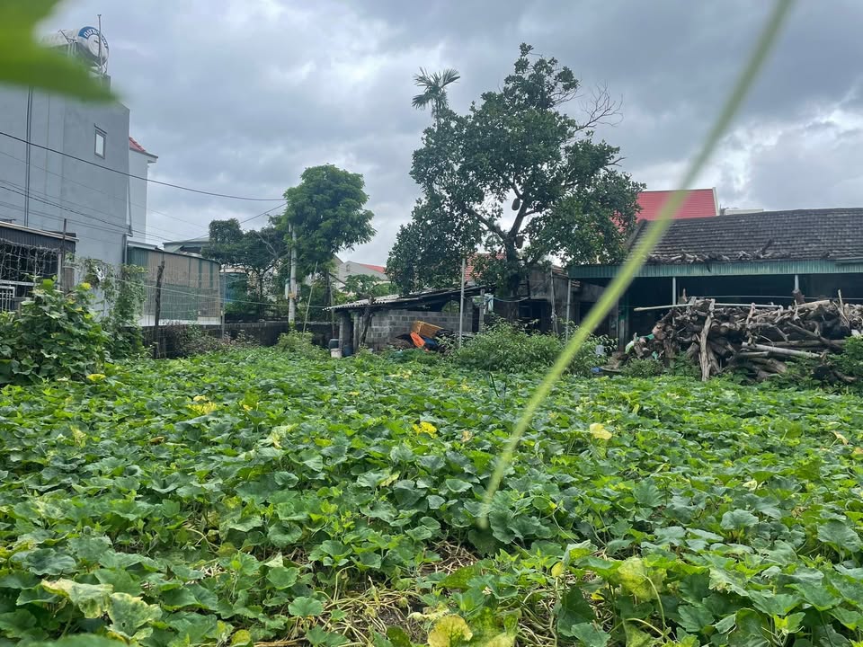 Nhà riêng Hạ Long 525m² - Sổ đỏ chính chủ, giá thỏa thuận!