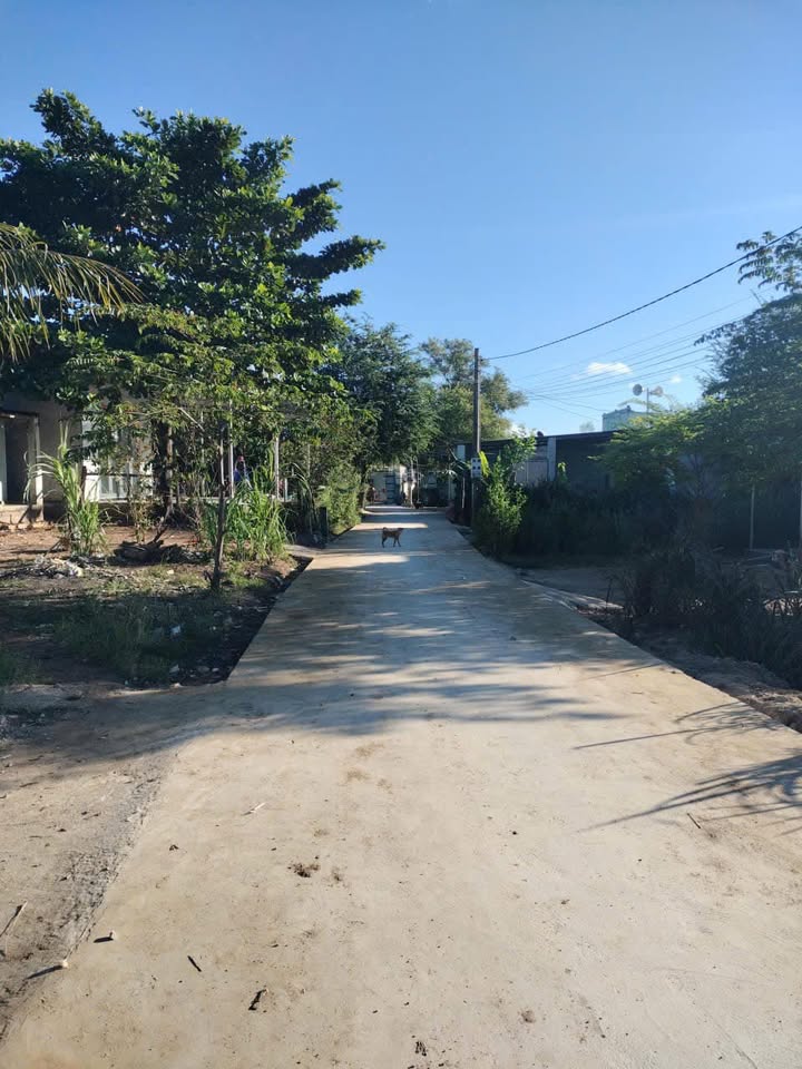 Đất nền Lâm Sơn Khánh Hòa 2089m² giá 31.3 tỷ - Mặt tiền đường bê tông rộng rãi!