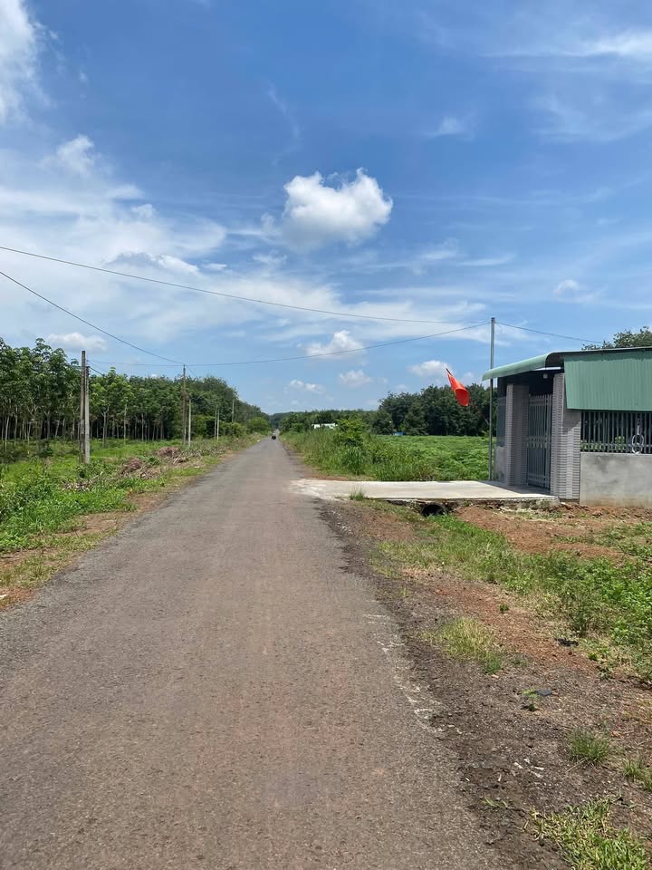 Đất nền Tân Lập Đồng Phú 175m² giá thỏa thuận - Đầu tư sinh lời ngay!