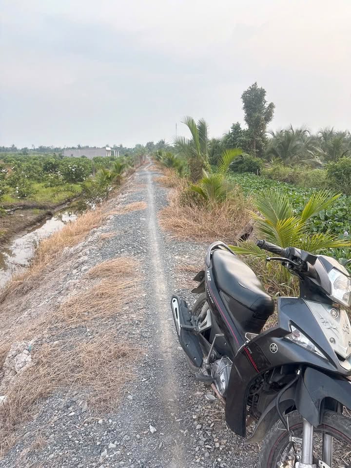 Đất vườn Lương Hòa Bến Lức 3500m² giá 650 triệu - Cơ hội đầu tư tuyệt vời!