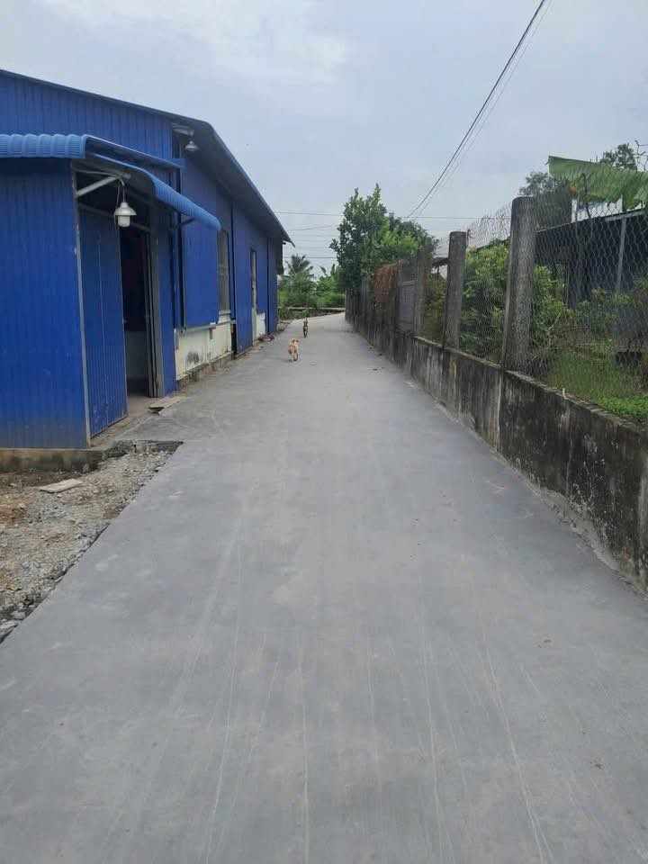 Đất thổ cư Gò Công Tiền Giang 100m² giá 380 triệu - Đường xe hơi vào tận nơi!