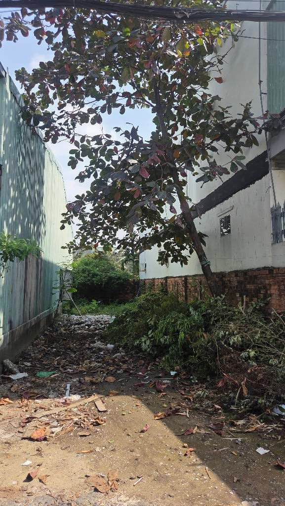 Đất An Phú Đông 121m² giá 5.15 tỷ - Phù hợp đầu tư, xây nhà bán!