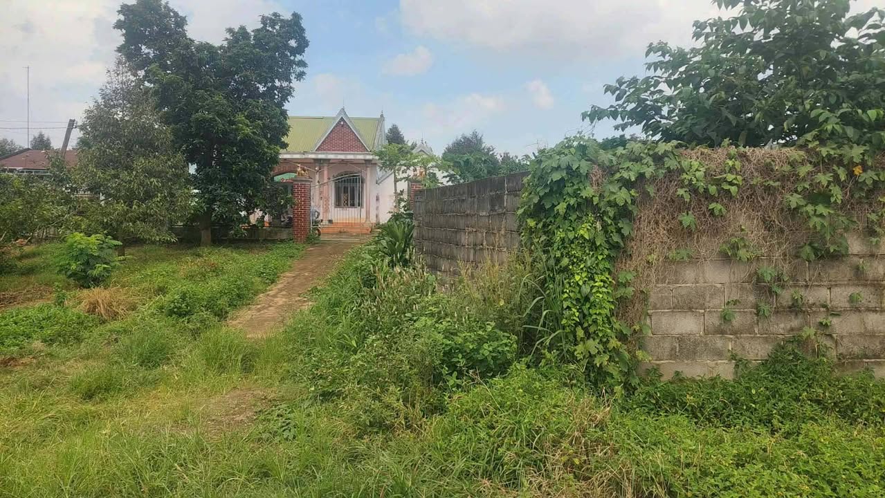 Đất Kim Long Châu Đức 9200m² giá 8 tỷ - Mặt tiền đường nhựa, có vườn trái cây