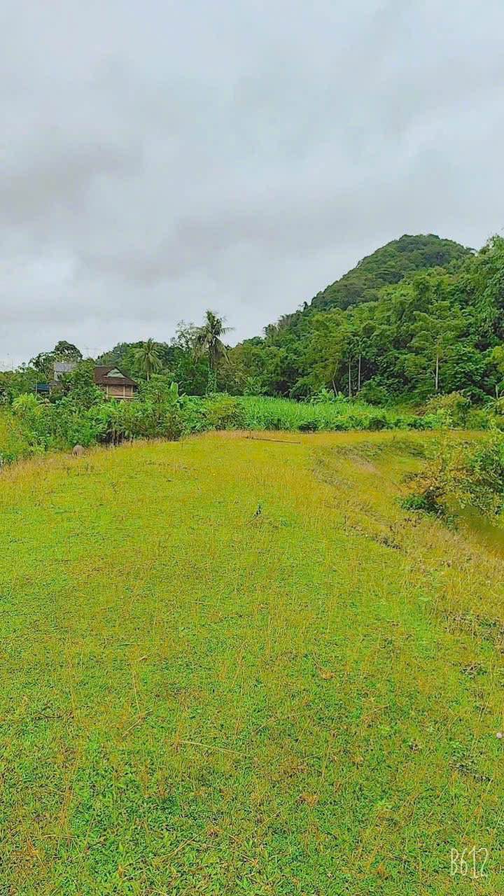 Đất Farm Đa Phúc, Yên Thủy, Hòa Bình 1300m² giá 1 tỷ - Đầu tư tiềm năng cao!