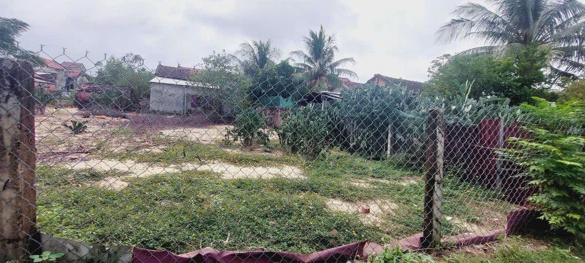 Đất nền Hòa Hiệp Đắk Lắk 100m² giá chỉ 620 triệu - Cơ hội đầu tư tuyệt vời!