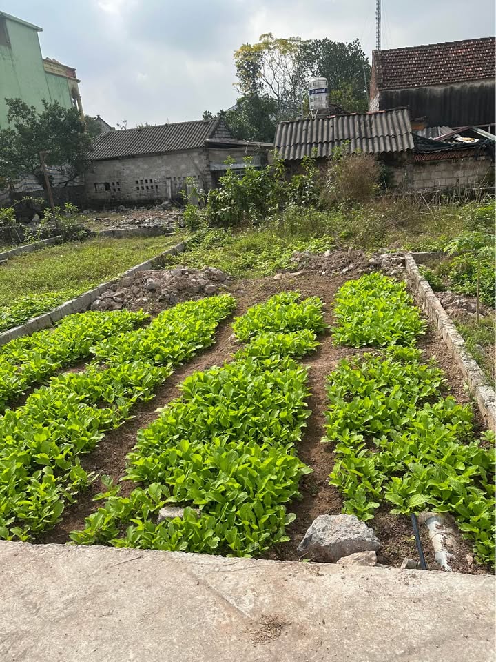 Đất nền Phường Lý Thường Kiệt Kim Bảng 64m² giá 1.1 tỷ - Sổ đỏ chính chủ sẵn sàng giao dịch!