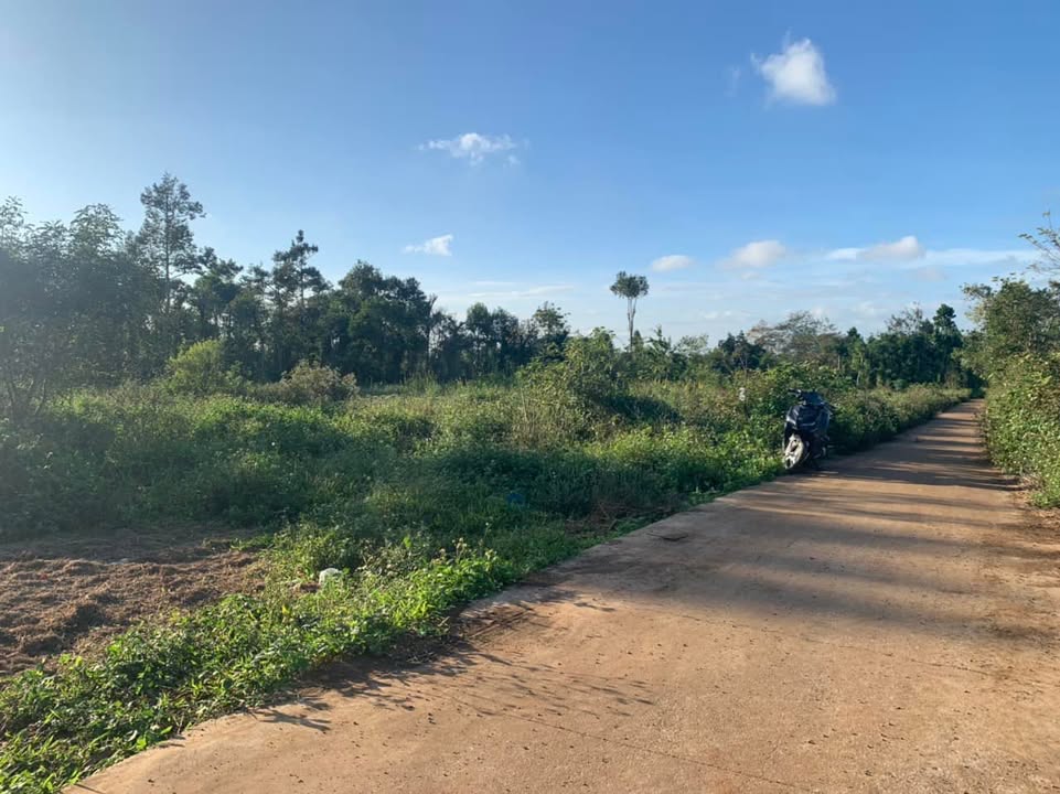 Đất thổ cư 501m² tại Hẻm C1 Cuor Đăng - Giá chỉ 4.78 tỷ, góc 2 mặt đường!