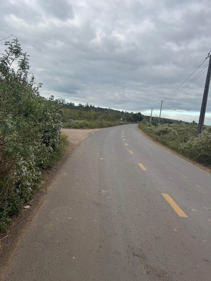 Đất nền farm 20.000m² xã Ea M'droh - Giá 1 tỷ - Sổ riêng pháp lý rõ ràng