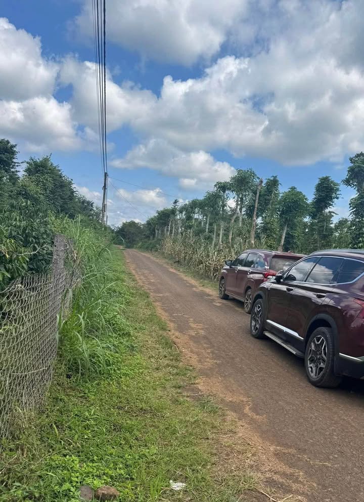 Đất nền 1ha Quảng Hiệp, Cư M'gar giá 3.8 tỷ - Đầu tư sinh lợi ngay!