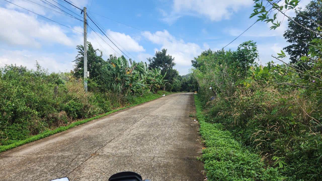 Đất mặt tiền Trần Nhân Tông 150m² giá 1,35 tỷ - Đầu tư sinh lời ngay!