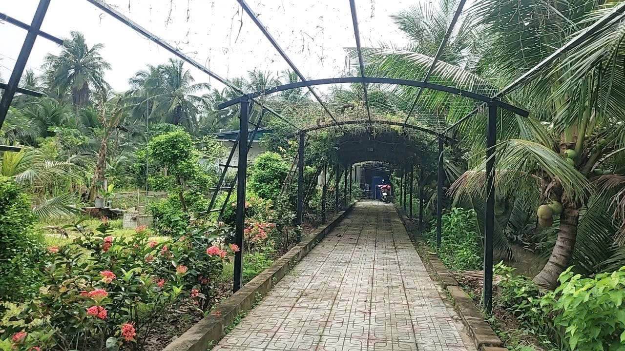 Đất Nhơn Thạnh, Bến Tre 1500m² giá 2.5 tỷ - Đầu tư sinh lời ngay!