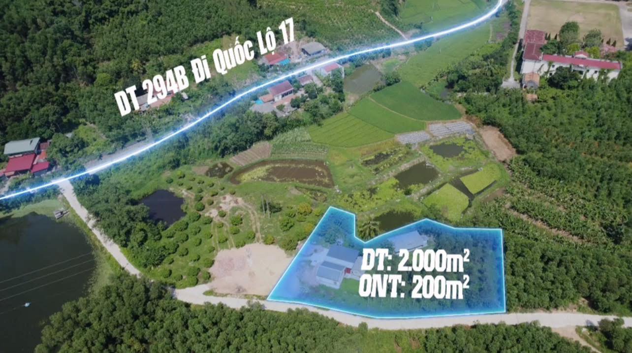 Lô vườn Tam Tiến Yên Thế 2000m² giá 1 tỷ - Đầu tư sinh lời ngay!