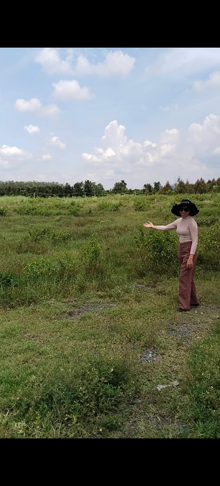 Đất nông nghiệp Đôn Thuận, Trảng Bàng 55,000m² giá chỉ 6,5 tỷ - Đầu tư sinh lời ngay!