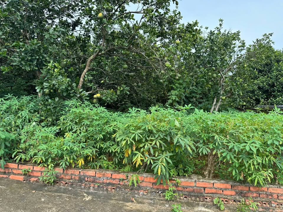 Đất nền Phú Cát Quốc Oai 400m² giá 1 tỷ - Sổ đỏ chính chủ, vị trí đẹp!