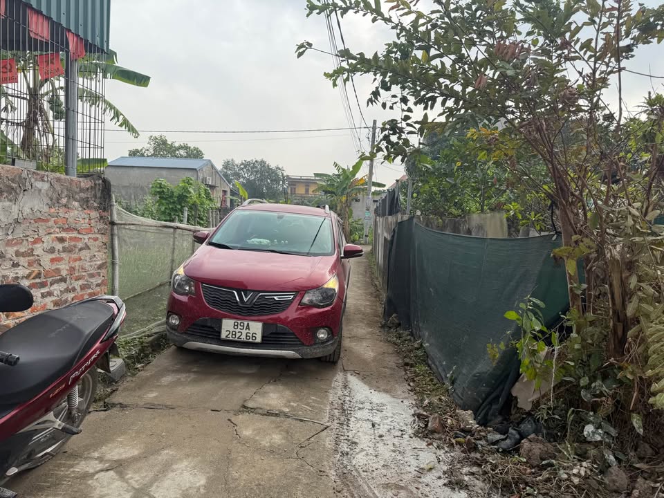 Đất nền Cẩm Xá Mỹ Hào 50m² giá chỉ 900 triệu - Chính chủ bán gấp!