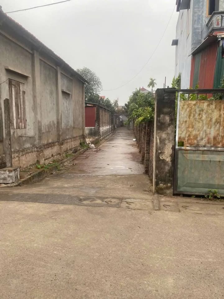 Đất nền Thọ An, Đan Phượng 50m² giá 2 tỷ - Cơ hội đầu tư hấp dẫn!