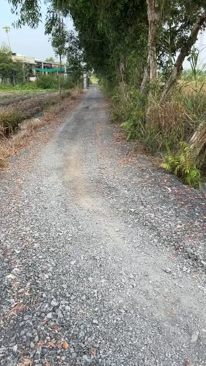 Đất vườn 10,400m² tại xã Bình Đức, Bến Lức - Giá 7 tỷ, thương lượng!