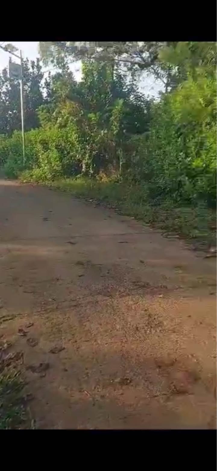 Đất thổ cư Tà Lài Tân Phú 1600m² giá 800 triệu - Mặt tiền bê tông 21m