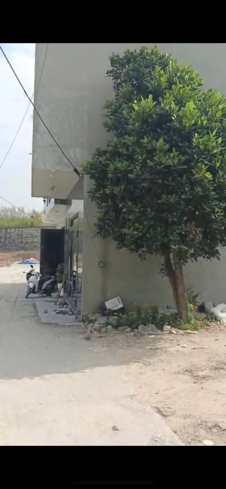 Đất nền Hạ Long 50m² giá 1.6 tỷ - Ô tô vào tận nơi!