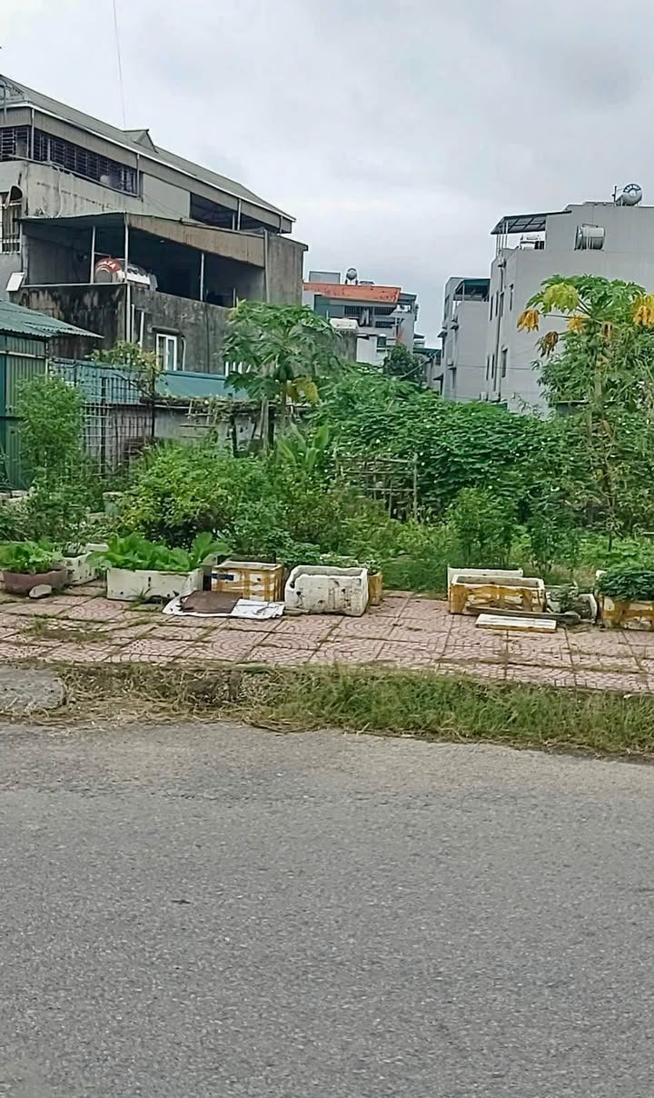 Đất nền dự án Lideco Hạ Long 70m² giá 4.35 tỷ - Sẵn sàng xây dựng ngay!