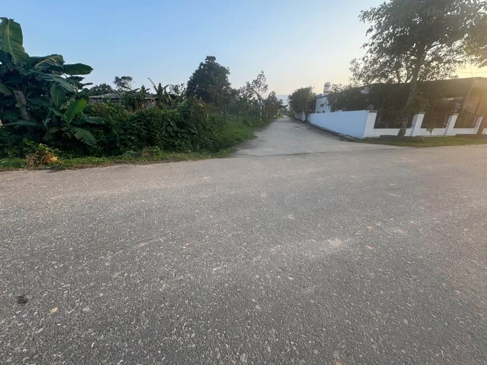 Đất nền thôn Tây Sơn, xã Toàn Lưu 334m² giá 2.6 tỷ - Đầu tư sinh lời ngay!