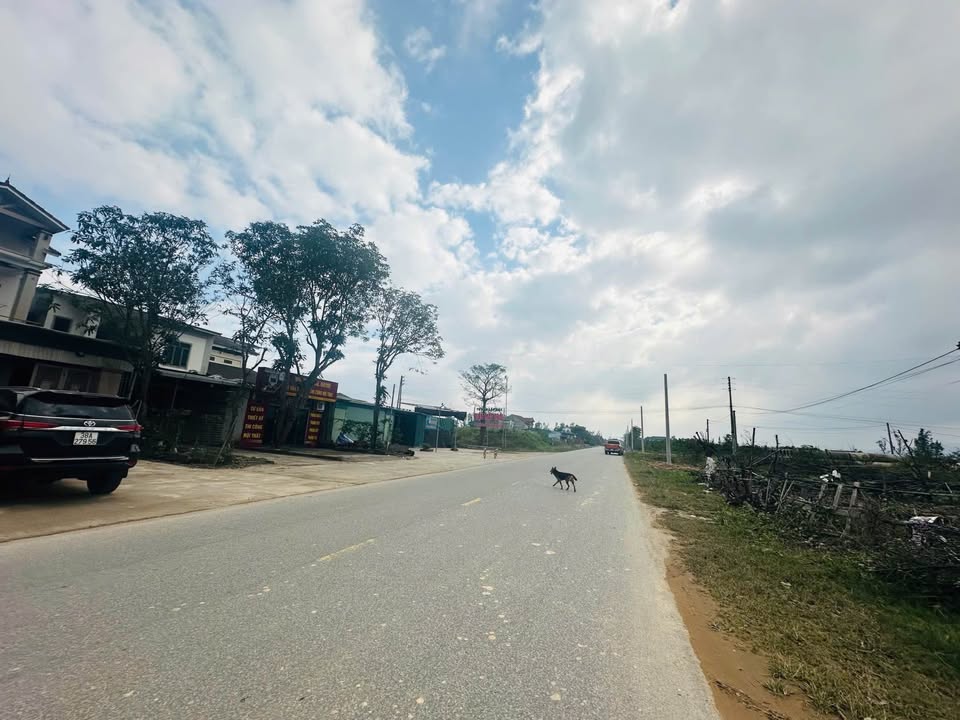 Đất mặt đường tỉnh lộ 17 Thôn Tân Tiến, Thạch Hà 220m² giá 6 tỷ - Cơ hội đầu tư tuyệt vời!