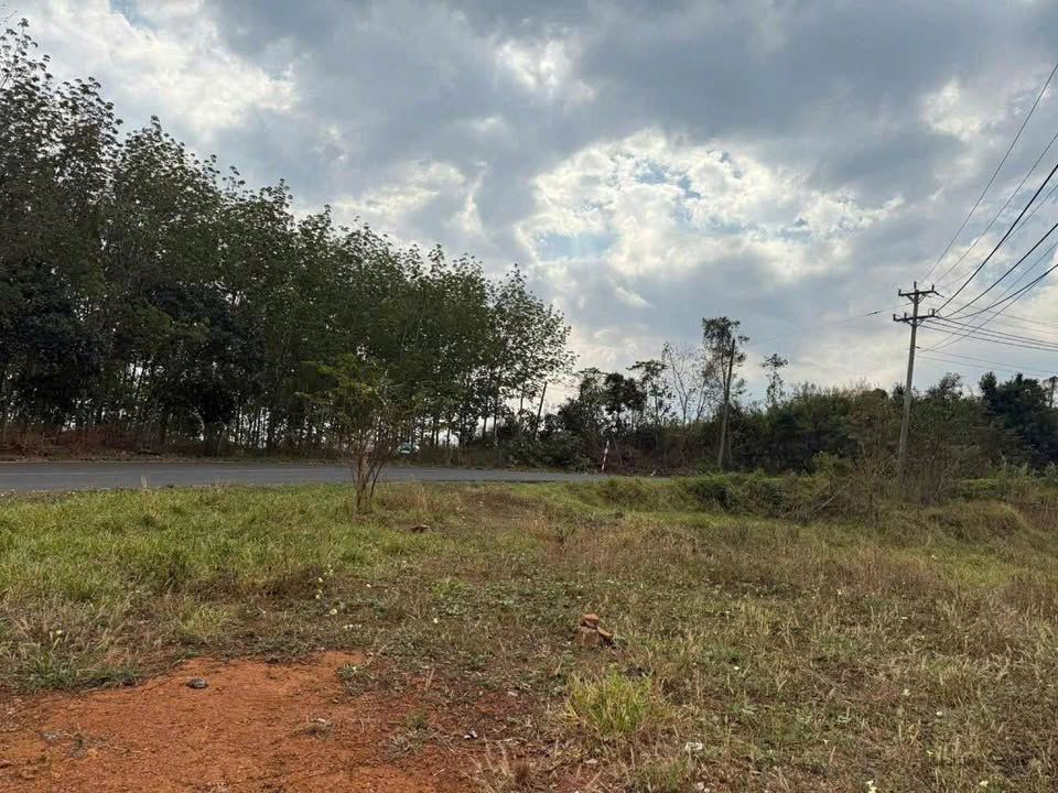 Đất nền 1.9ha xã Đoàn Kết, Bù Đăng, giá 3.1 tỷ - Mặt tiền 80m đường nhựa