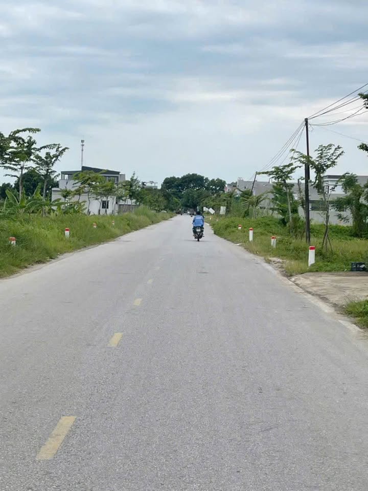 Đất nền 125m² hướng Nam - Đường Lê Thế Bùi, Tân Phong - Kinh doanh thuận lợi!