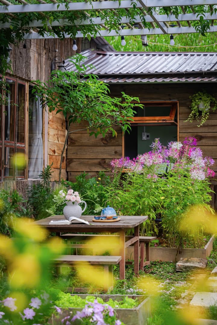 Homestay Đà Lạt 50m² cho thuê - Không gian yên tĩnh, lý tưởng cho 2 khách!