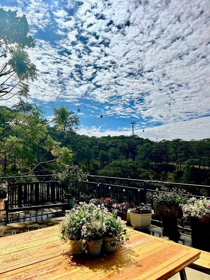 Villa cho thuê Đà Lạt 5 phòng ngủ - Không gian lý tưởng giữa rừng thông!