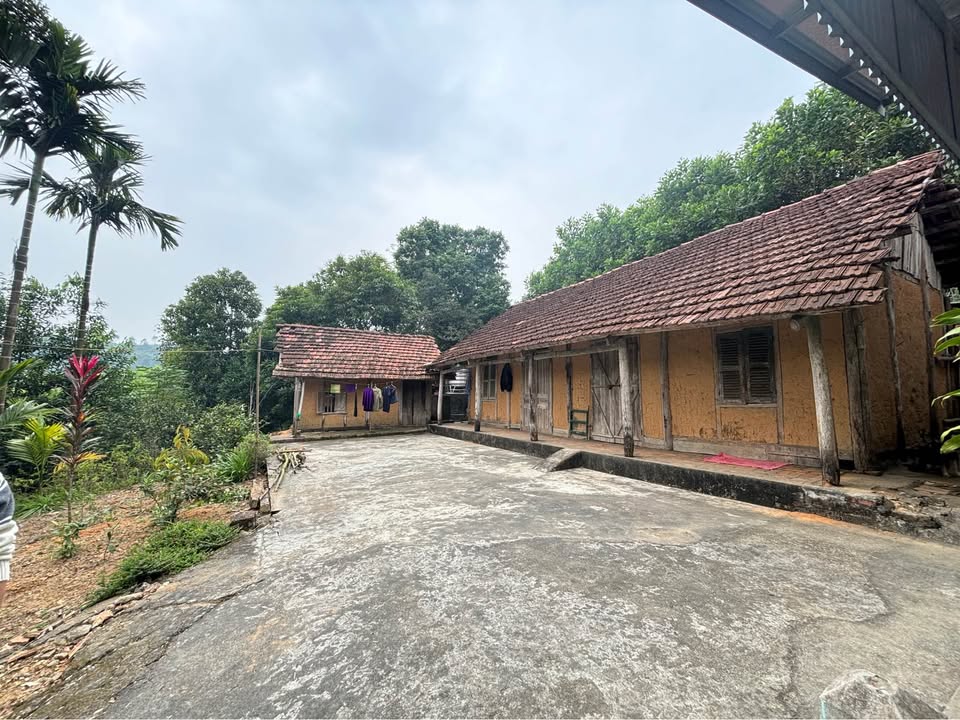 Đất Hưng Thành Tuyên Quang 157.5m² giá 2.85 tỷ - Đất đẹp, vị trí cao không ngập lụt!