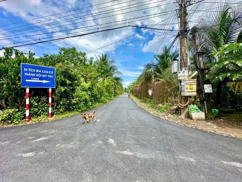 Bán đất mặt tiền đường huyện 92B, Đạo Thạnh, TP Mỹ Tho 179m² - Giá chỉ 1.6 tỷ!