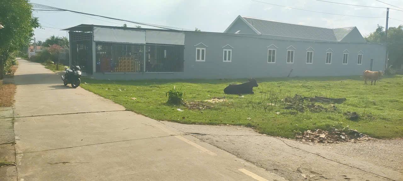 Đất nền Tân Hiệp 125m² giá 770 triệu - Vị trí đắc địa ngay trung tâm!