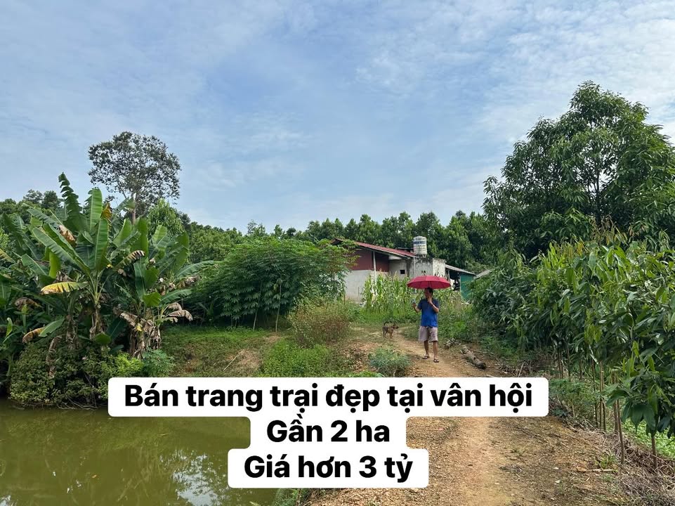 Trang trại gần 2ha tại Vân Hội, Yên Bái - Tiềm năng đầu tư lớn!