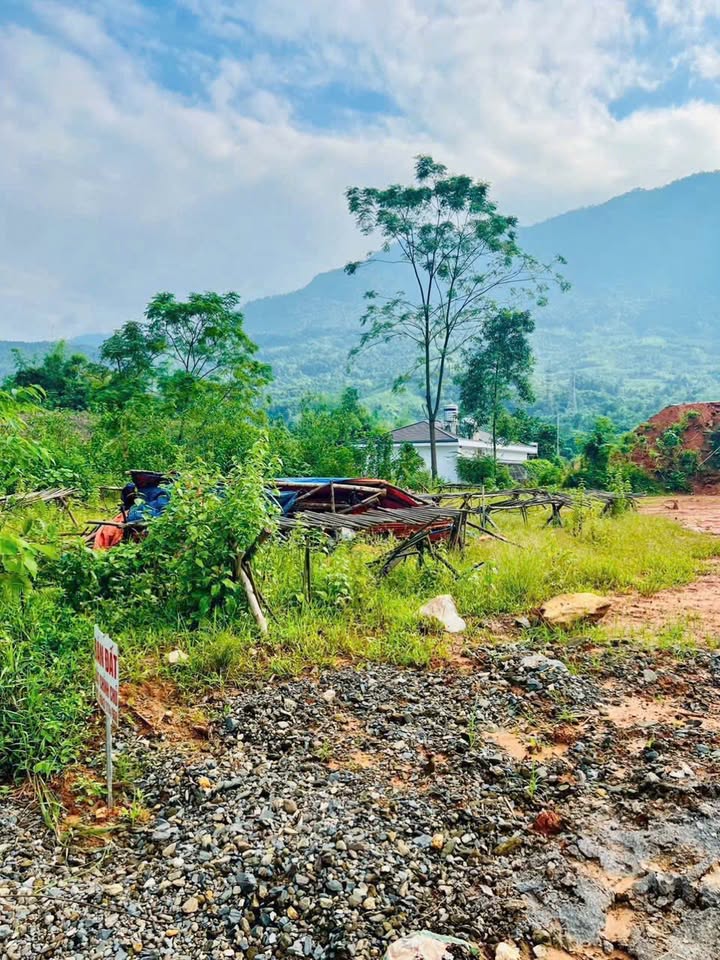 Đất thổ cư 300m² và đất vườn 685m² tại Tỉnh Lộ 152 Bảo Thắng - Cơ hội đầu tư hấp dẫn!