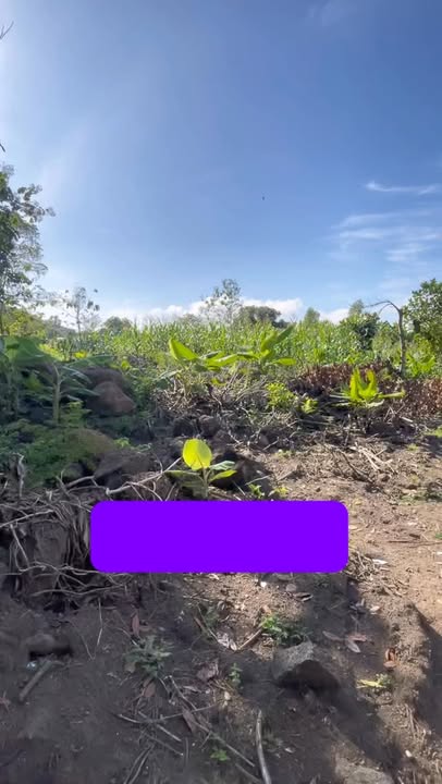 Đất nền 2000m² xã Phú Vinh Đồng Nai - Sổ hồng chính chủ, giá thỏa thuận!