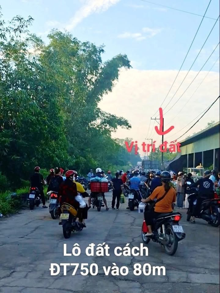 Đất nền Bàu Bàng 1300m² giá 2 tỷ - Đầu tư sinh lời ngay!